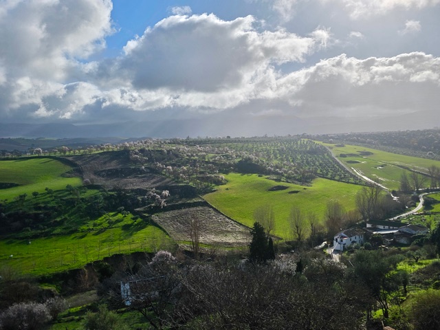 Verdant expanse broken by pastel patches. Photo © Karethe Linaae